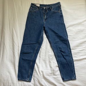 Gap High Rise Mom Jean